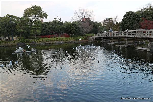 IMG_0186_结果.JPG