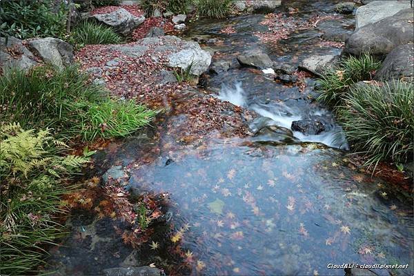 IMG_0149_结果.JPG