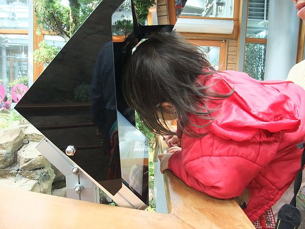 DSCF9046.JPG