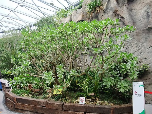 DSCF8974.JPG