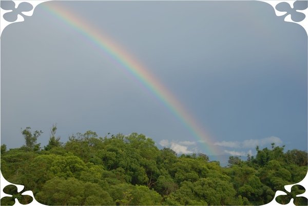 Rainbow 05.jpg