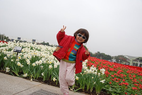 DSC_9488.JPG