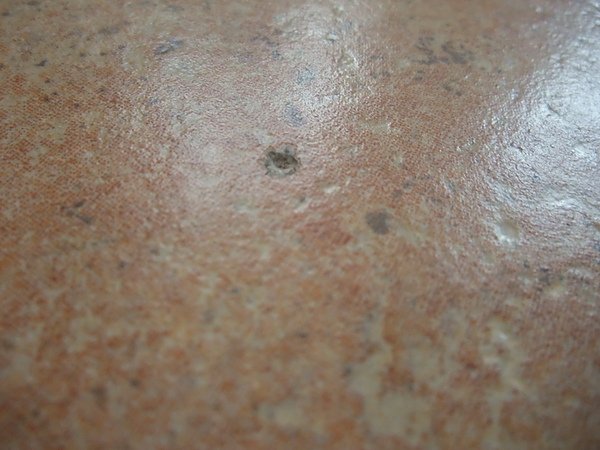 DSCF5364.JPG