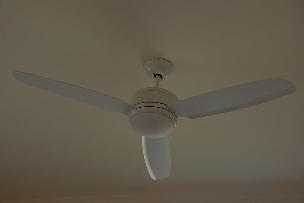 DSC_8658.JPG