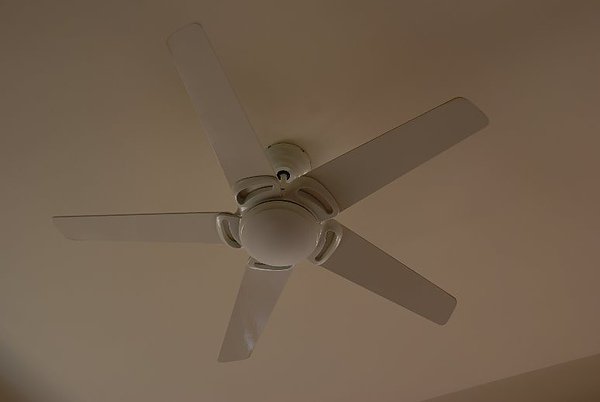 DSC_8663.JPG