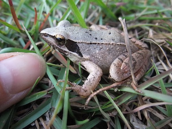 DSCF2997.JPG