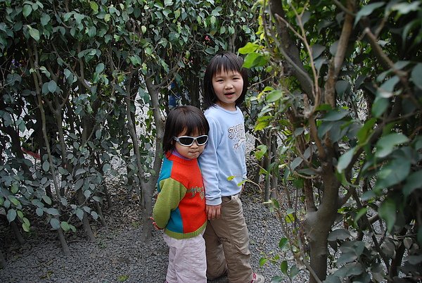 DSC_9231.JPG