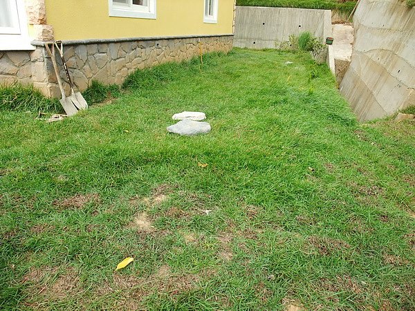 DSCF1441.JPG