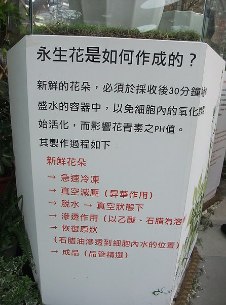 DSCF9004.JPG