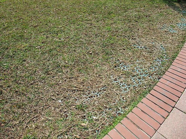 DSCF9073.JPG
