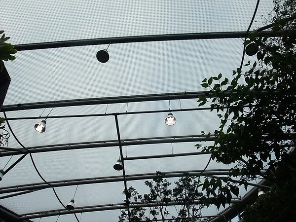 DSCF8978.JPG