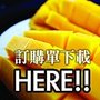 訂購單下載