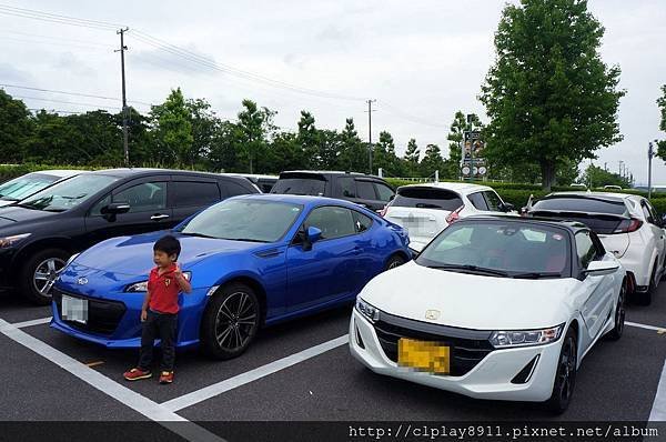 DSC05993 (1280x849).jpg