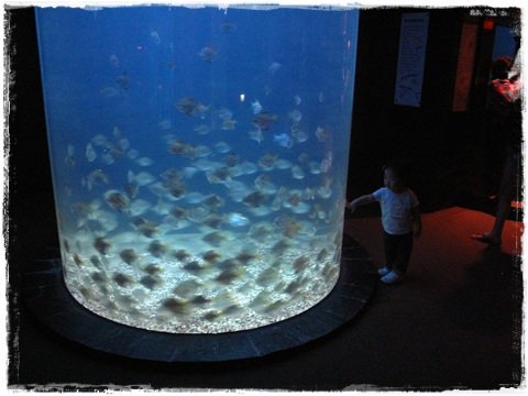 IMG_3967.JPG