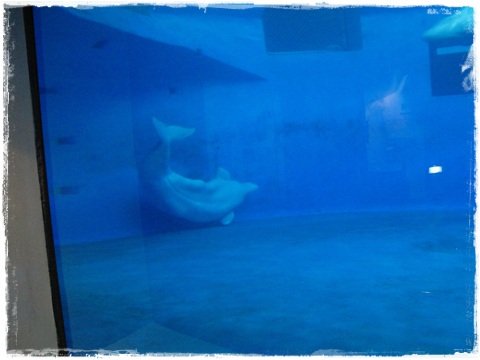 IMG_3885.JPG
