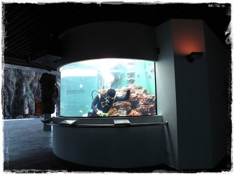IMG_3823.JPG