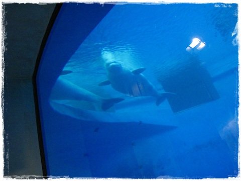 IMG_3883.JPG