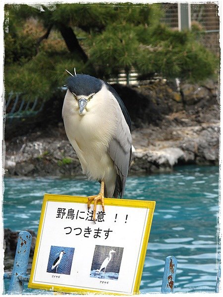 IMG_6379.JPG