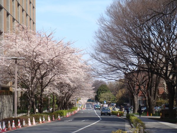 東大醫學部入口