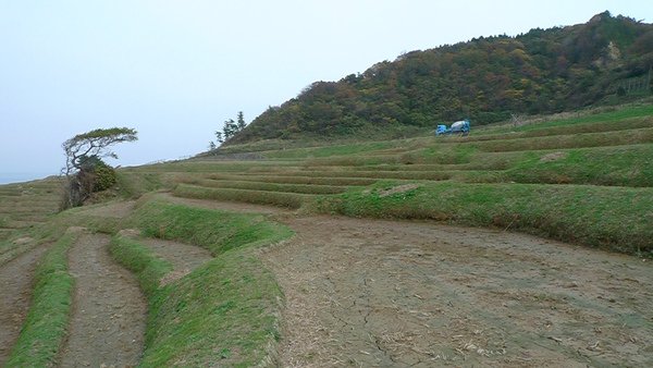 20091109能登半島2 074.JPG