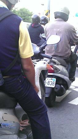 IMAG1568