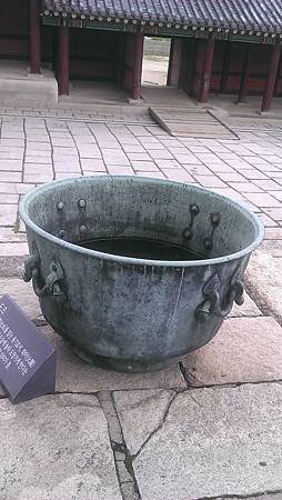 IMAG1355.jpg