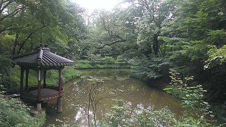 IMAG1363.jpg
