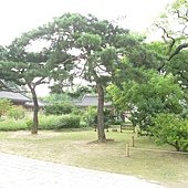 IMG_6563.JPG