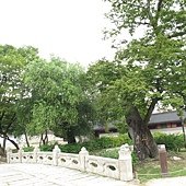 IMG_6562.JPG