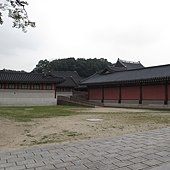 IMG_6564.JPG