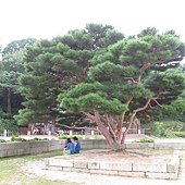 IMG_6593.JPG