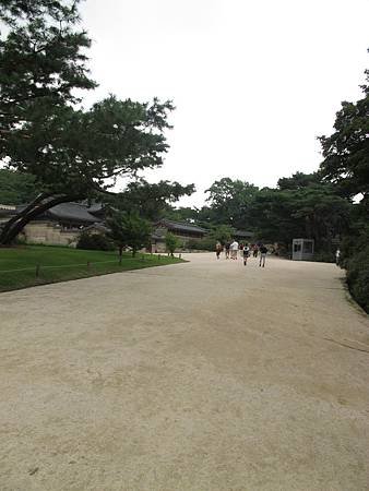 IMG_6597.JPG