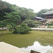 IMG_6602.JPG