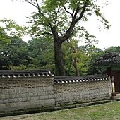IMG_6641.JPG
