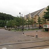 IMG_6903.JPG