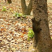 DSCN1759.JPG