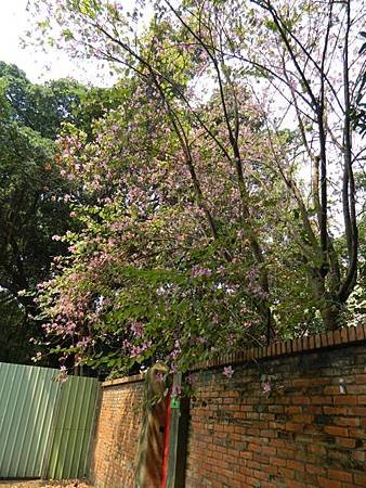 DSCN1810.JPG