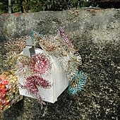 DSCN1814.JPG