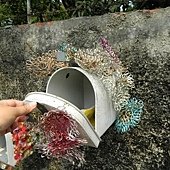 DSCN1815.JPG