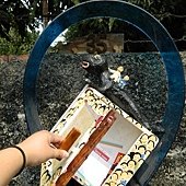 DSCN1820.JPG
