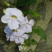 DSCN1826.JPG