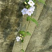 DSCN1829.JPG