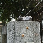 DSCN1836.JPG