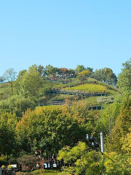 DSCN2718.JPG