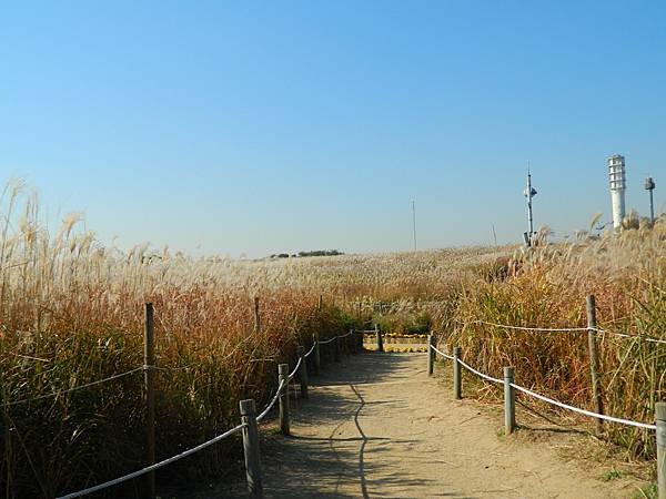DSCN2734.JPG