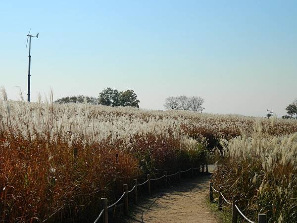 DSCN2745.JPG