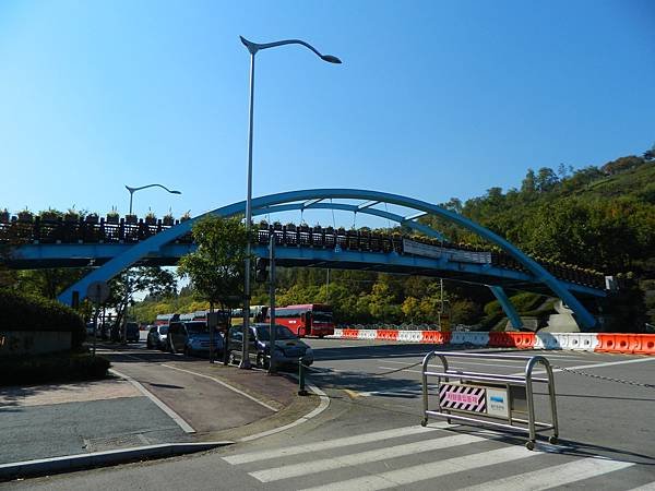 DSCN2717.JPG