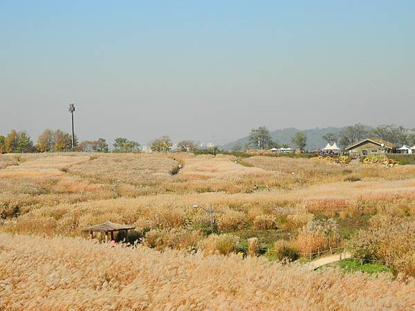DSCN2754.JPG