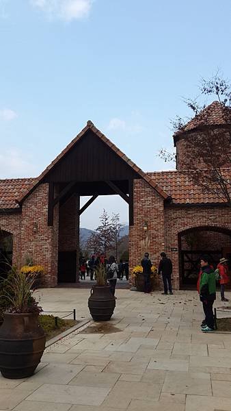 20141102_120523.jpg
