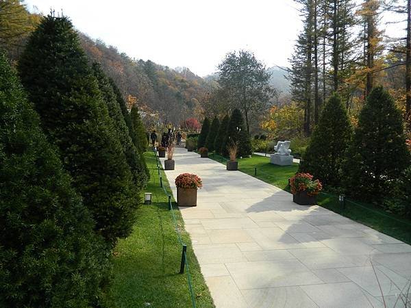 DSCN3208.JPG